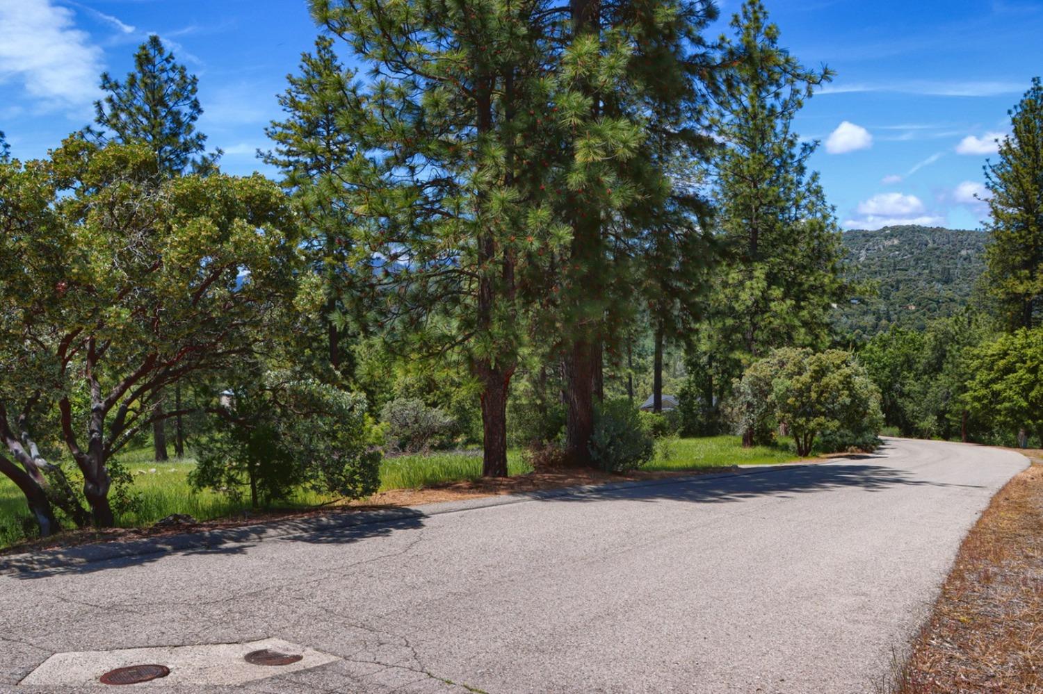 8 Lot Timberwood Ln, Oakhurst, CA 93644