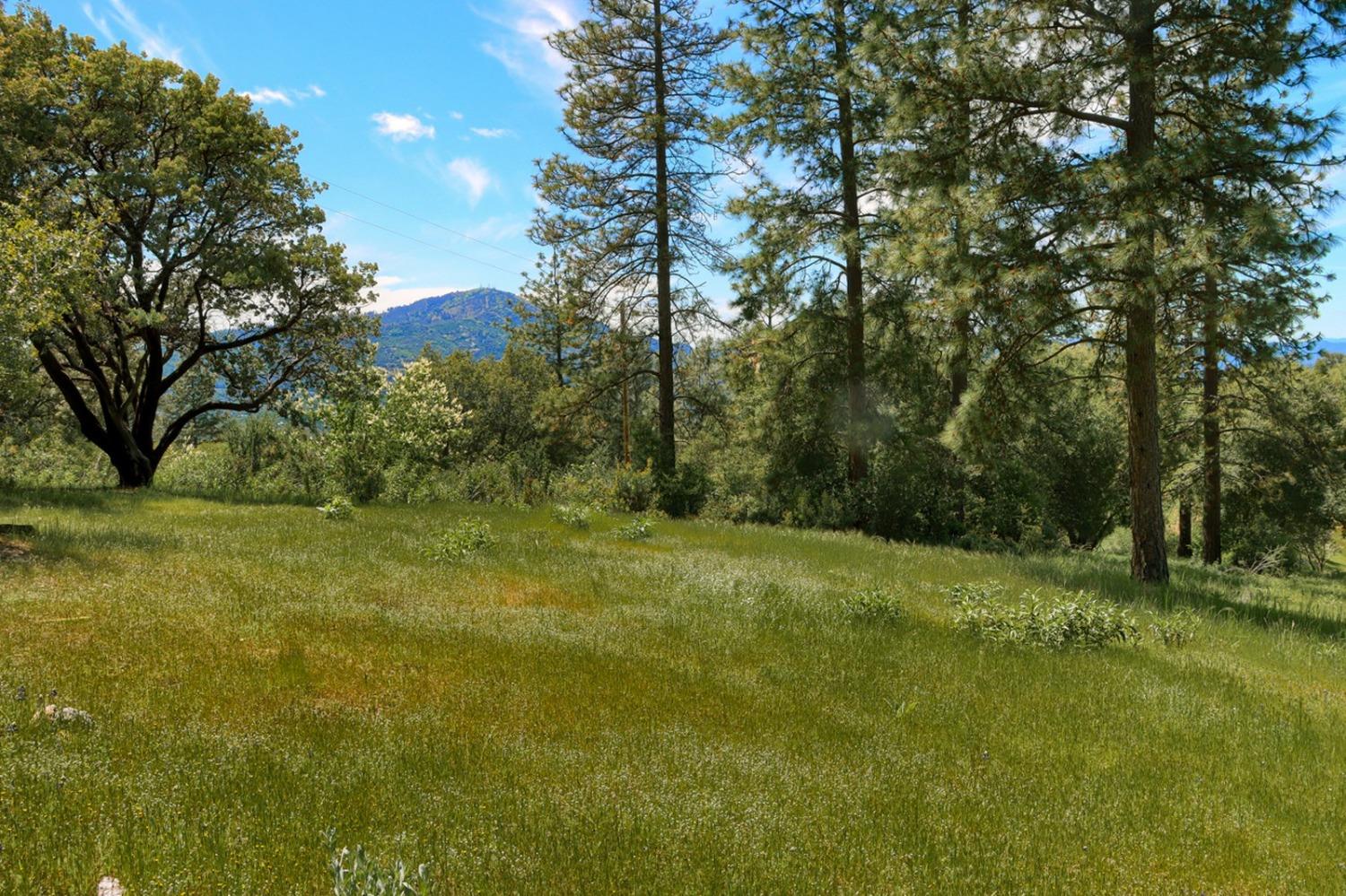 8 Lot Timberwood Ln, Oakhurst, CA 93644