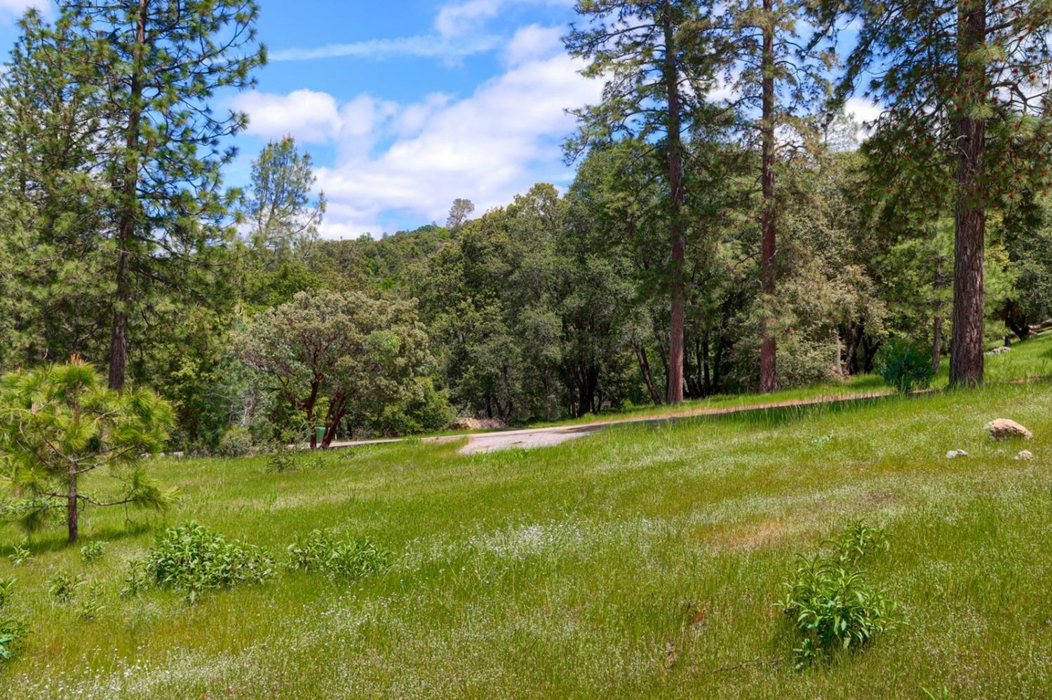 8 Lot Timberwood Ln, Oakhurst, CA 93644