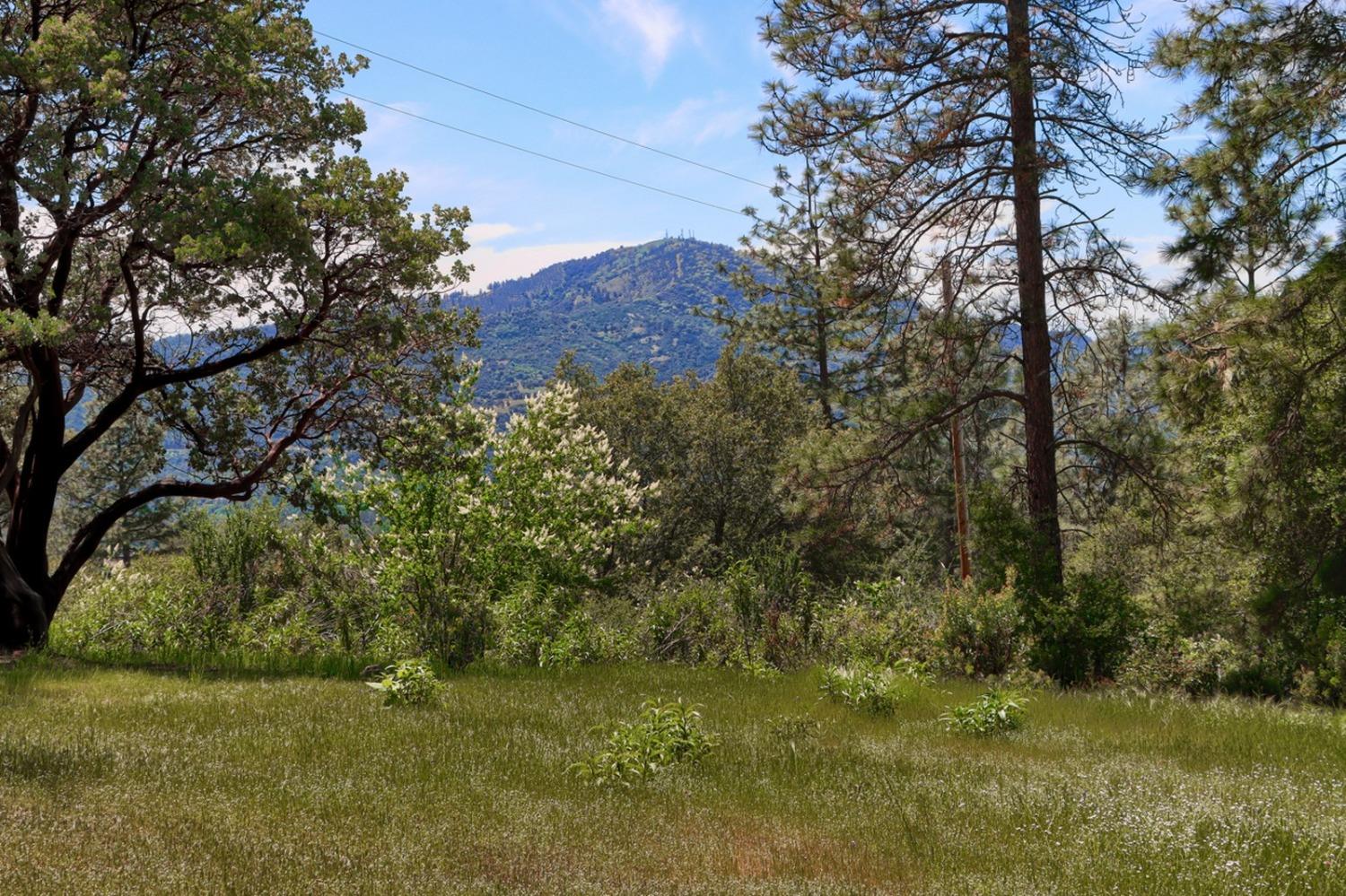 8 Lot Timberwood Ln, Oakhurst, CA 93644