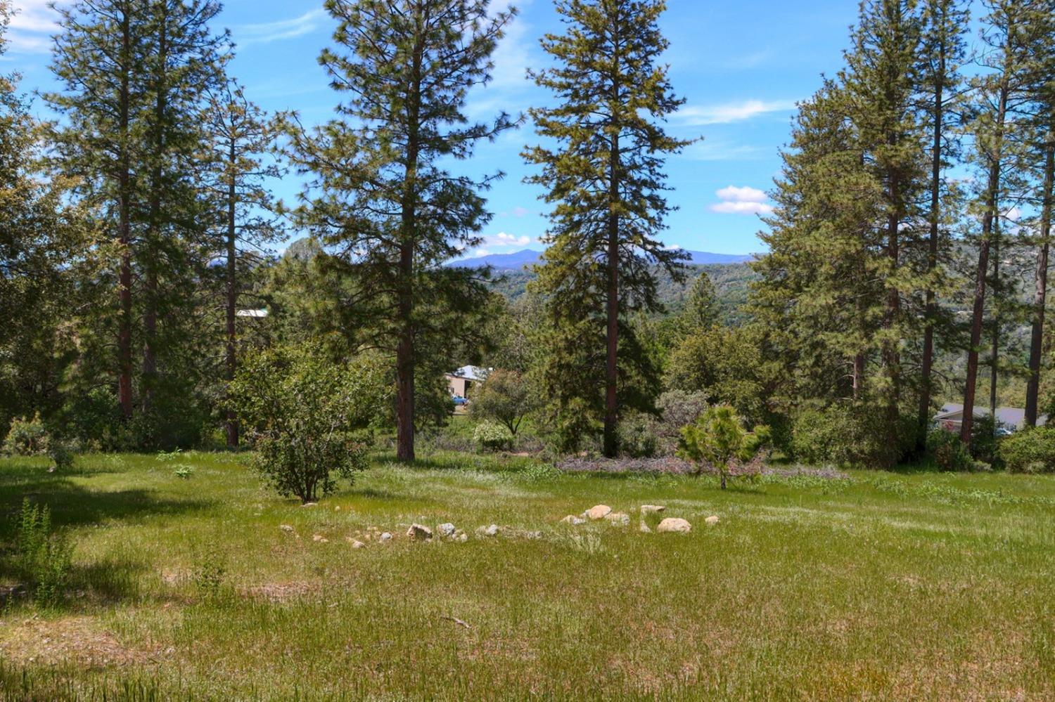 8 Lot Timberwood Ln, Oakhurst, CA 93644