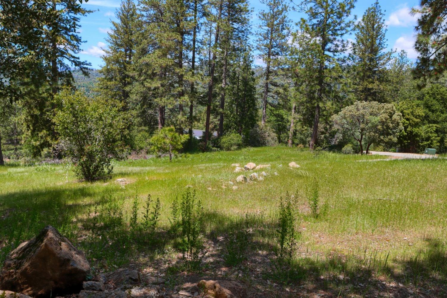 8 Lot Timberwood Ln, Oakhurst, CA 93644