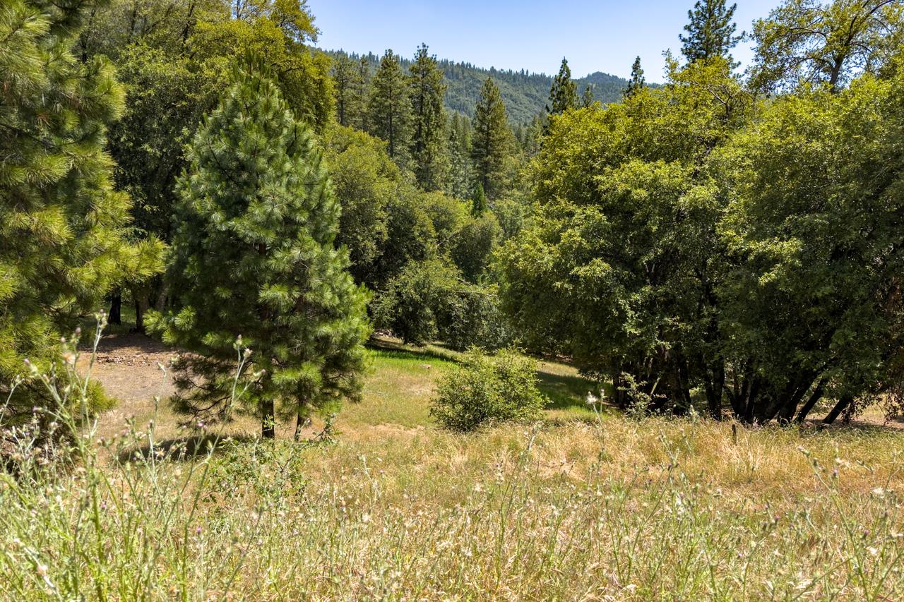 2397 Parmabelle, Mariposa, CA 95338