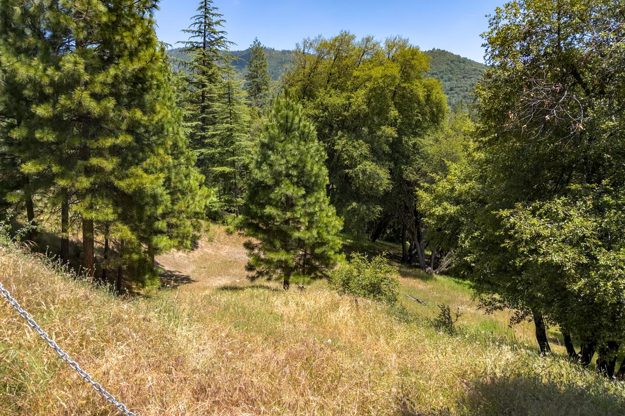 2397 Parmabelle, Mariposa, CA 95338