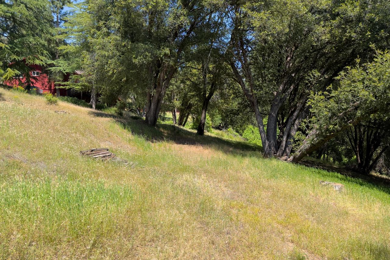 2397 Parmabelle, Mariposa, CA 95338