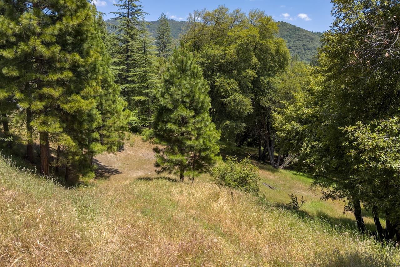 2397 Parmabelle, Mariposa, CA 95338