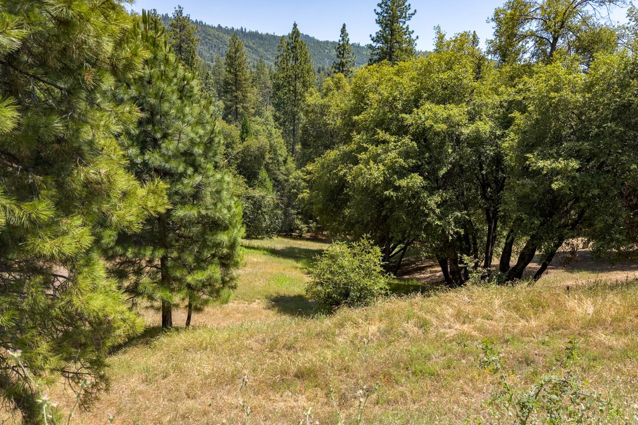 2397 Parmabelle, Mariposa, CA 95338