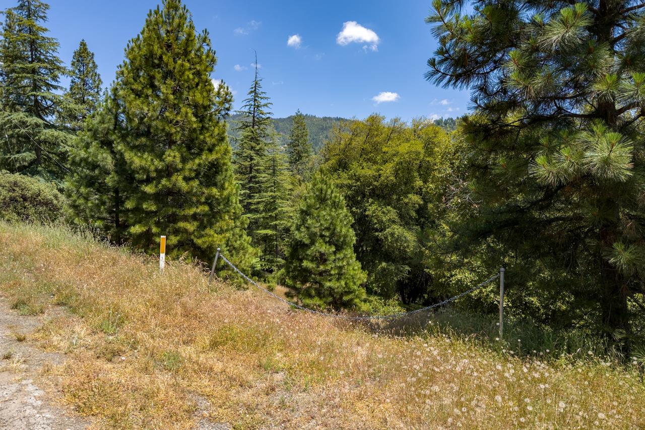 2397 Parmabelle, Mariposa, CA 95338