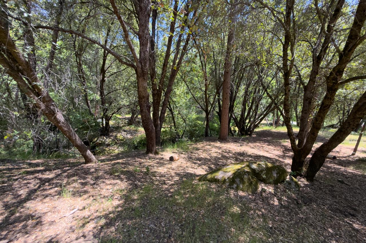 2397 Parmabelle, Mariposa, CA 95338