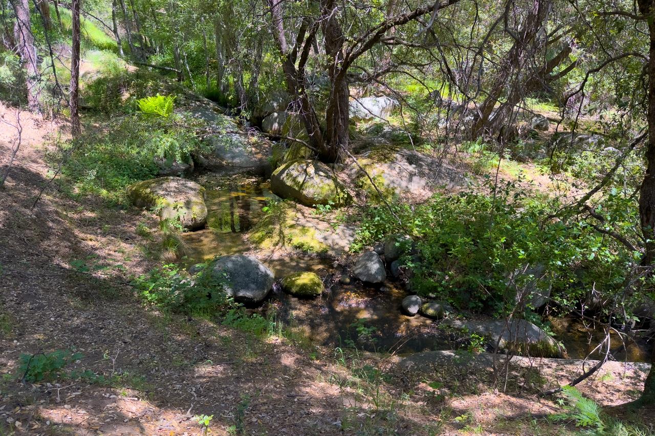 2397 Parmabelle, Mariposa, CA 95338