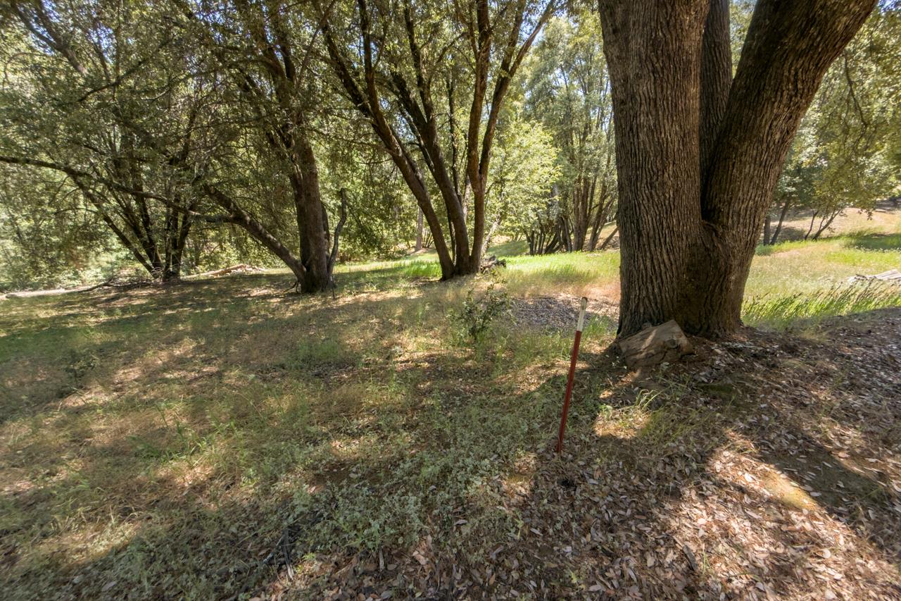 2397 Parmabelle, Mariposa, CA 95338