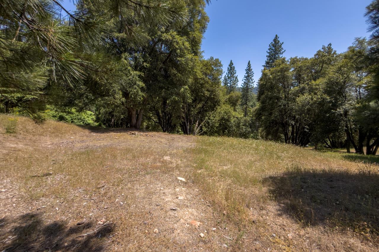 2397 Parmabelle, Mariposa, CA 95338