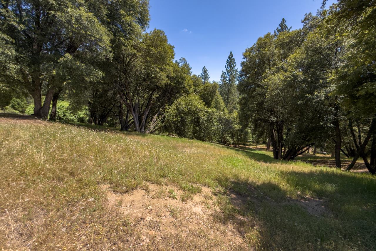 2397 Parmabelle, Mariposa, CA 95338