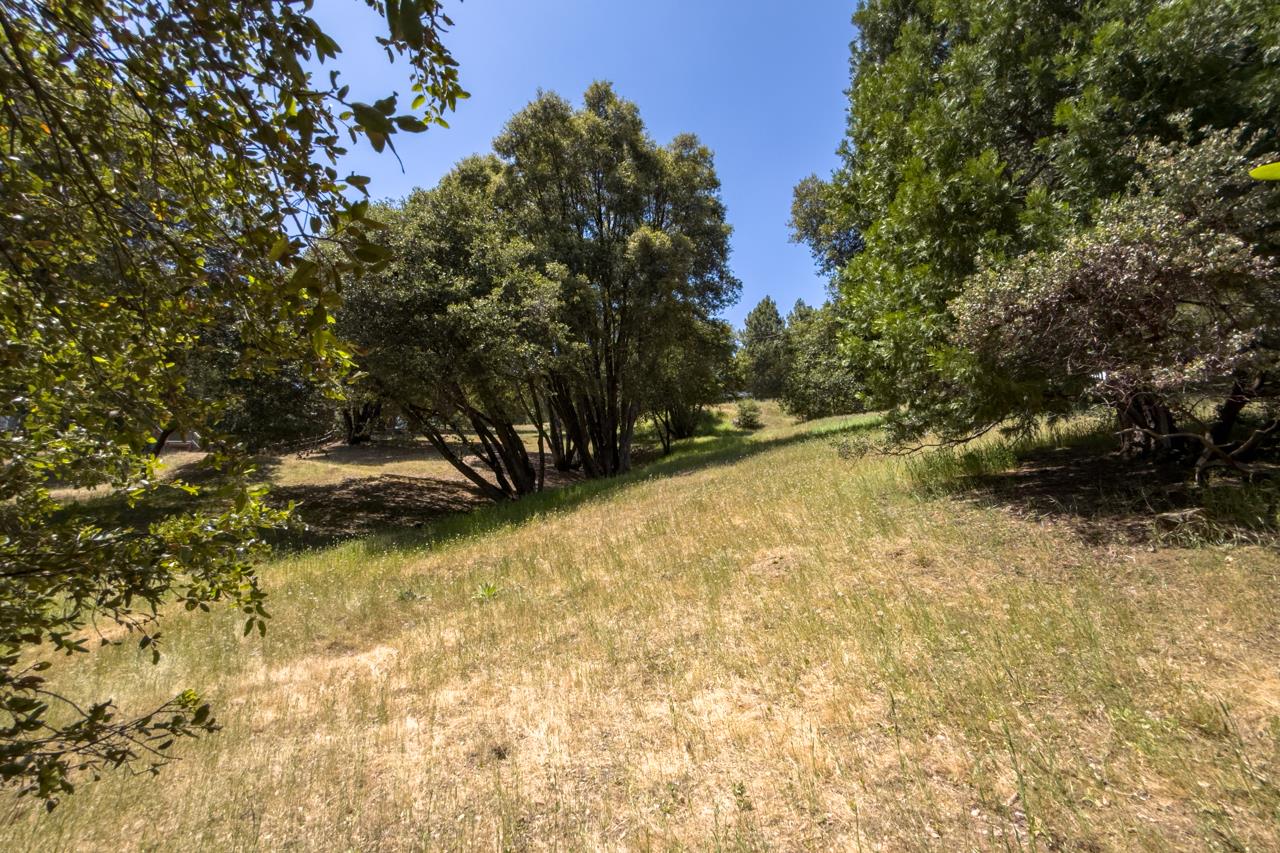 2397 Parmabelle, Mariposa, CA 95338