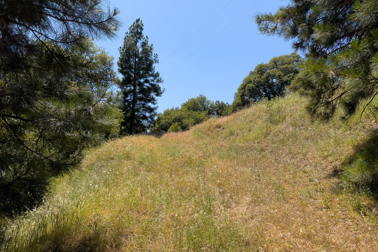 2397 Parmabelle, Mariposa, CA 95338