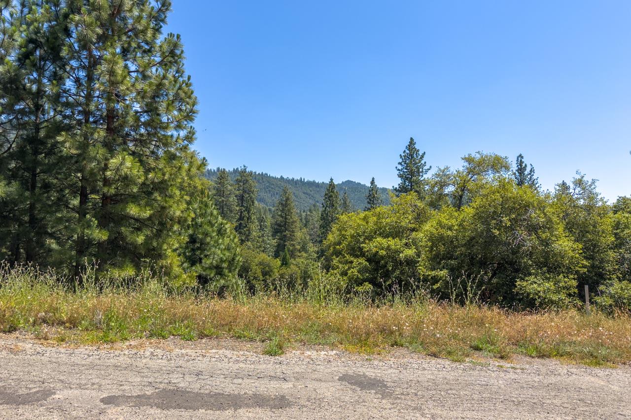 2397 Parmabelle, Mariposa, CA 95338