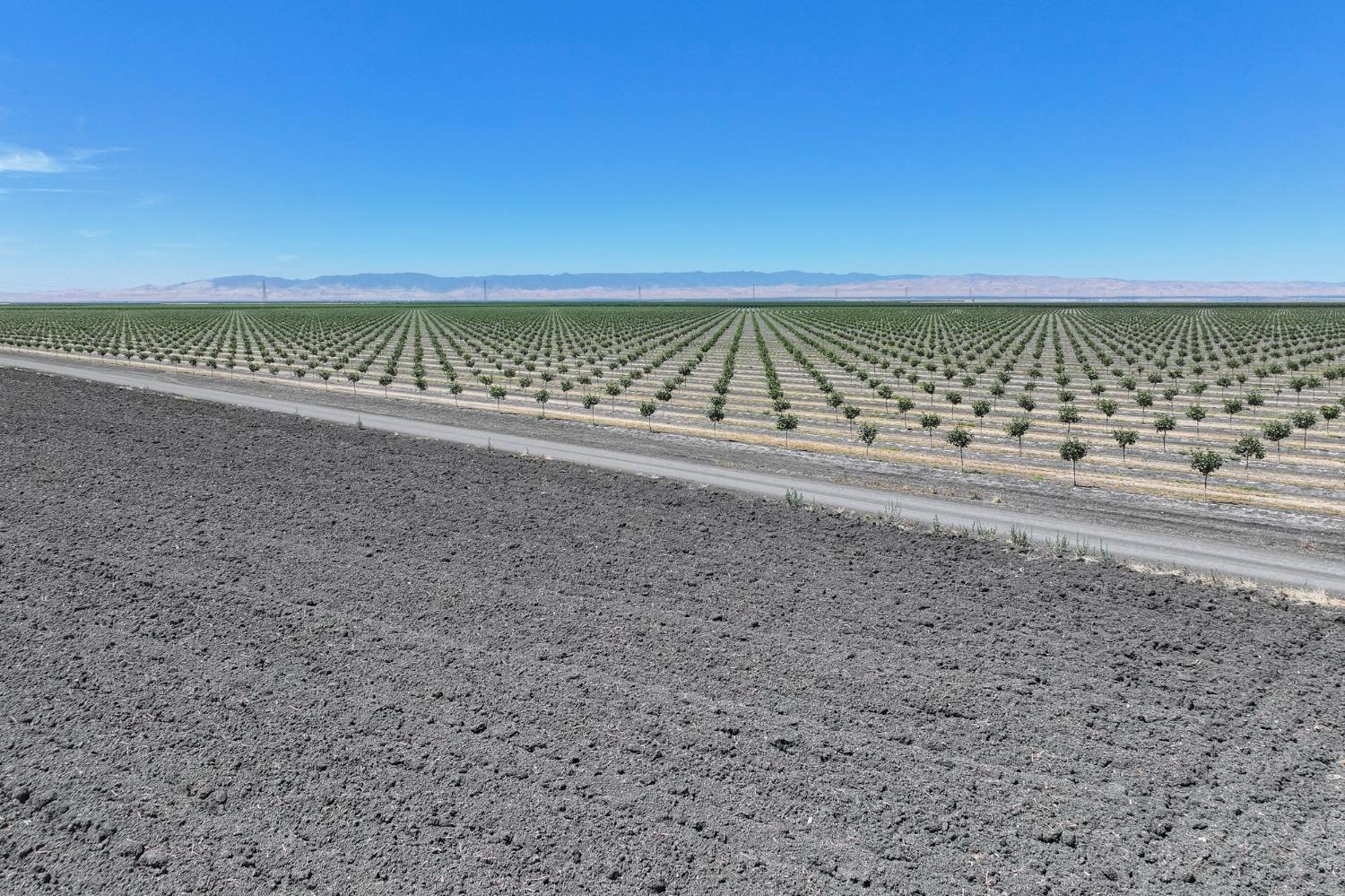 30750 W Manning Ave, San Joaquin, CA 93660