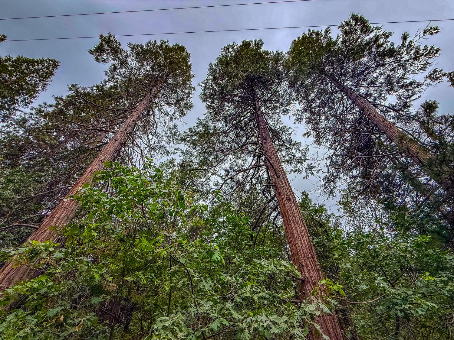 7083 Hites Cove Rd, Mariposa, CA 95338
