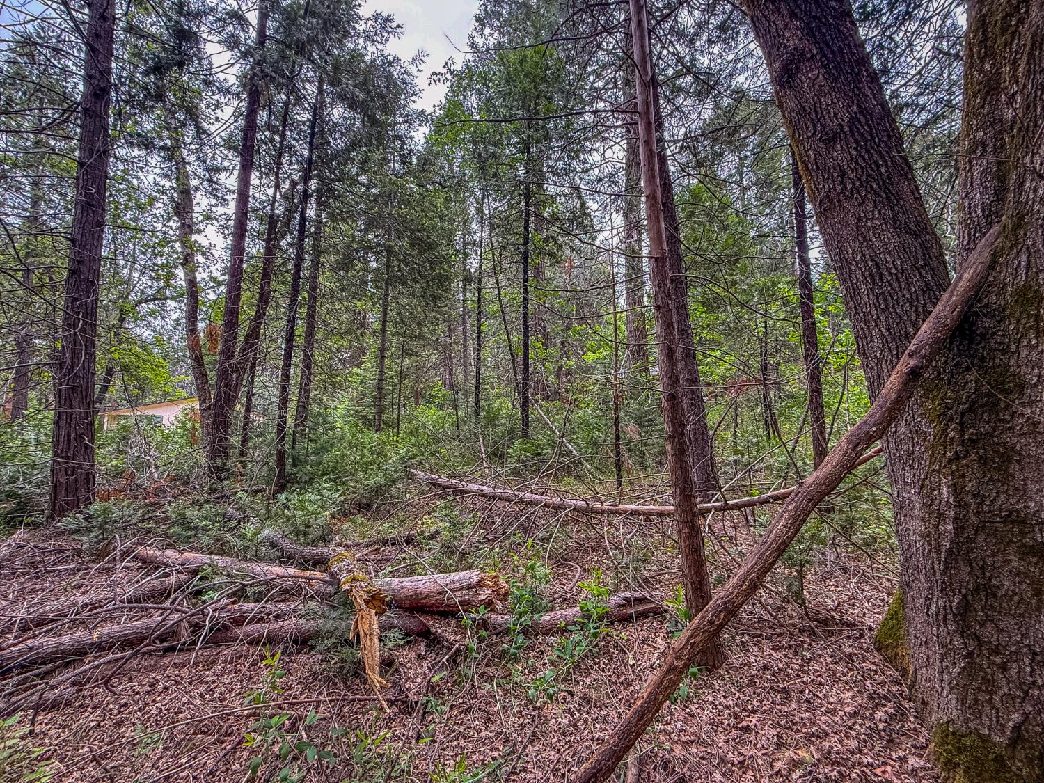 7083 Hites Cove Rd, Mariposa, CA 95338