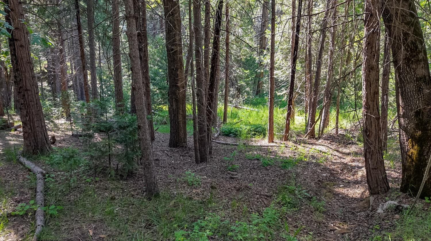 7083 Hites Cove Rd, Mariposa, CA 95338