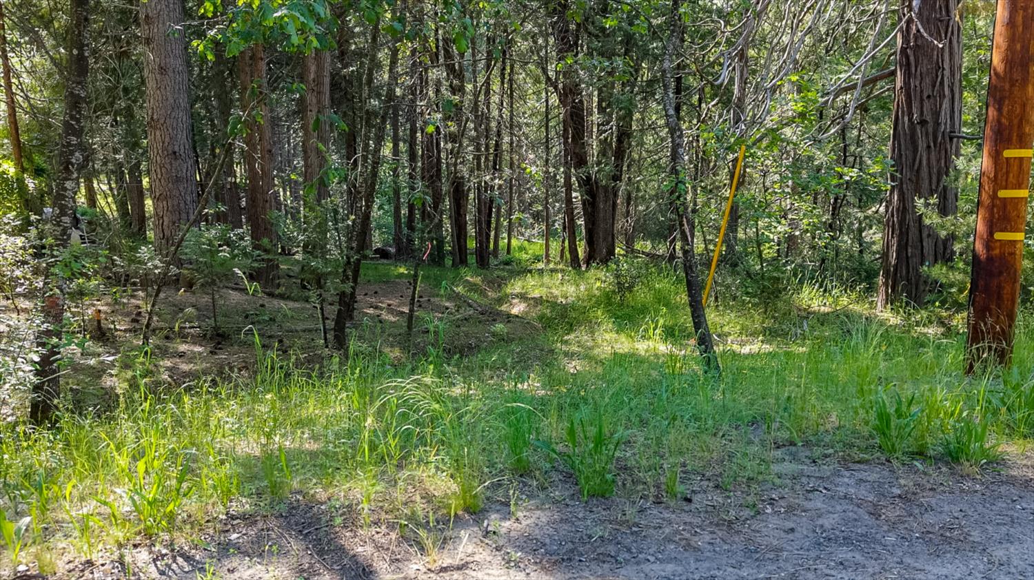 7083 Hites Cove Rd, Mariposa, CA 95338