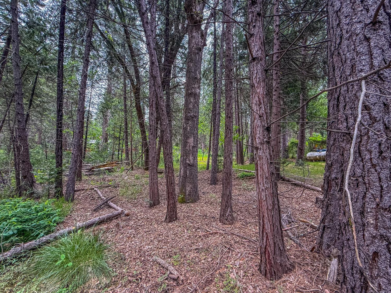 7083 Hites Cove Rd, Mariposa, CA 95338