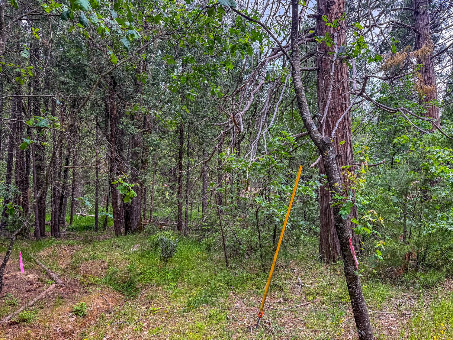 7083 Hites Cove Rd, Mariposa, CA 95338