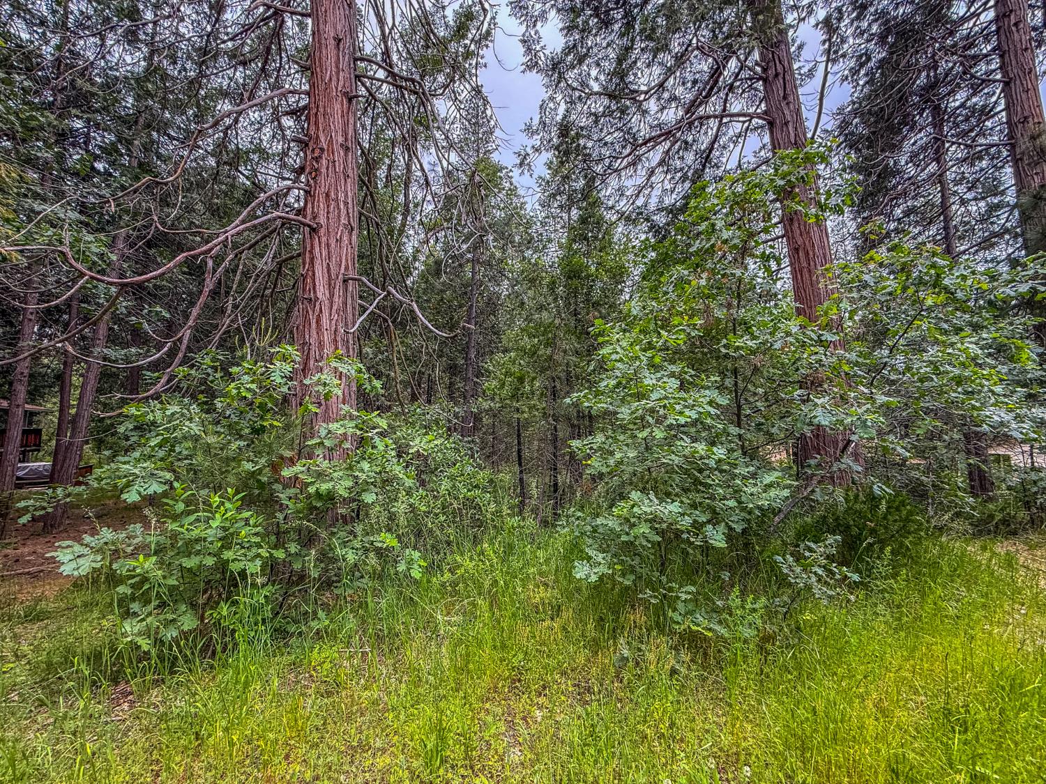 7083 Hites Cove Rd, Mariposa, CA 95338