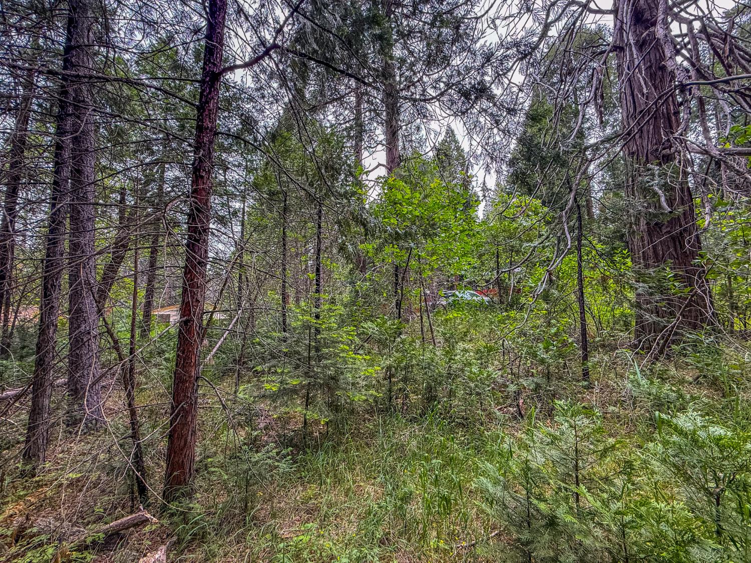 7083 Hites Cove Rd, Mariposa, CA 95338