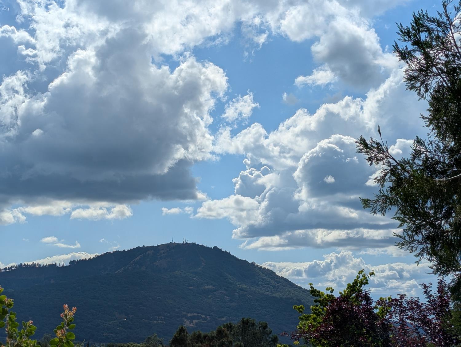 50889 Road 426 #SP 17, Oakhurst, CA 93644