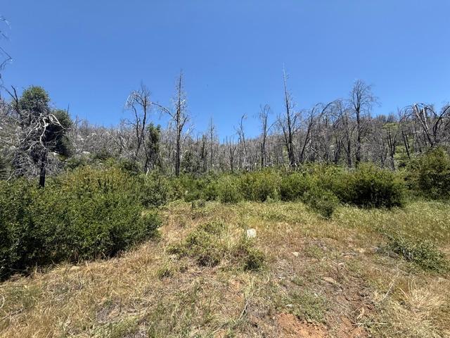 36922 36934 Peterson Rd, Auberry, CA 93602
