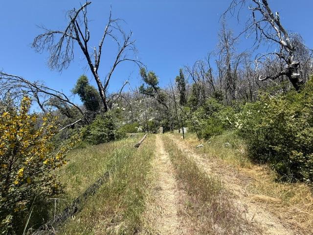 36922 36934 Peterson Rd, Auberry, CA 93602