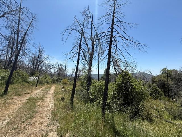 36922 36934 Peterson Rd, Auberry, CA 93602