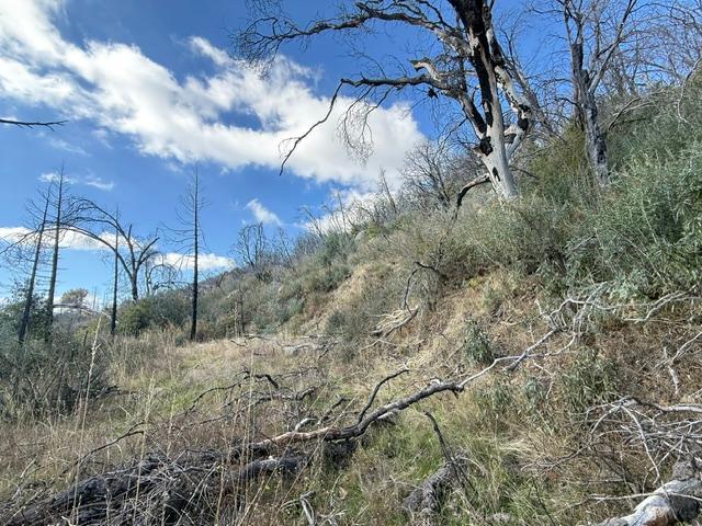36922 36934 Peterson Rd, Auberry, CA 93602