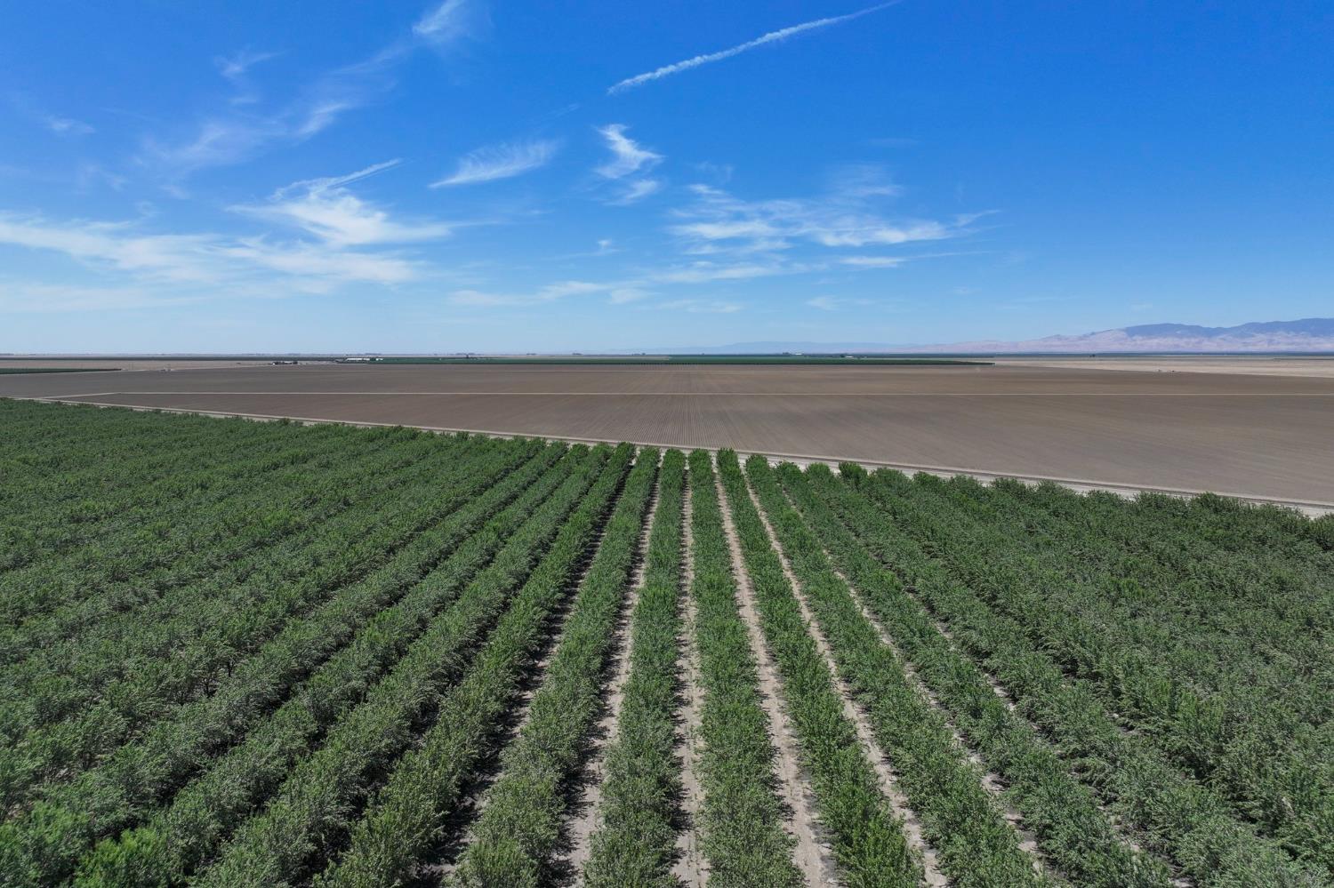20375 W Manning Ave, San Joaquin, CA 93660
