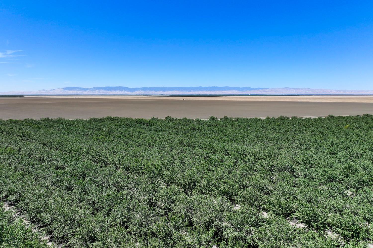 20375 W Manning Ave, San Joaquin, CA 93660