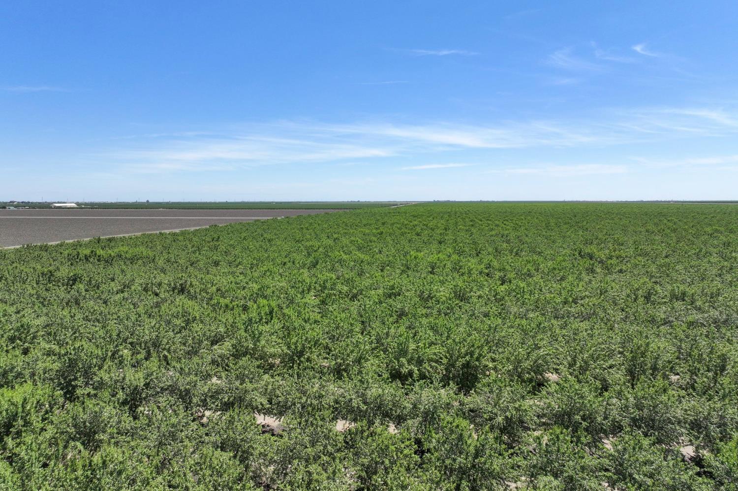 20375 W Manning Ave, San Joaquin, CA 93660