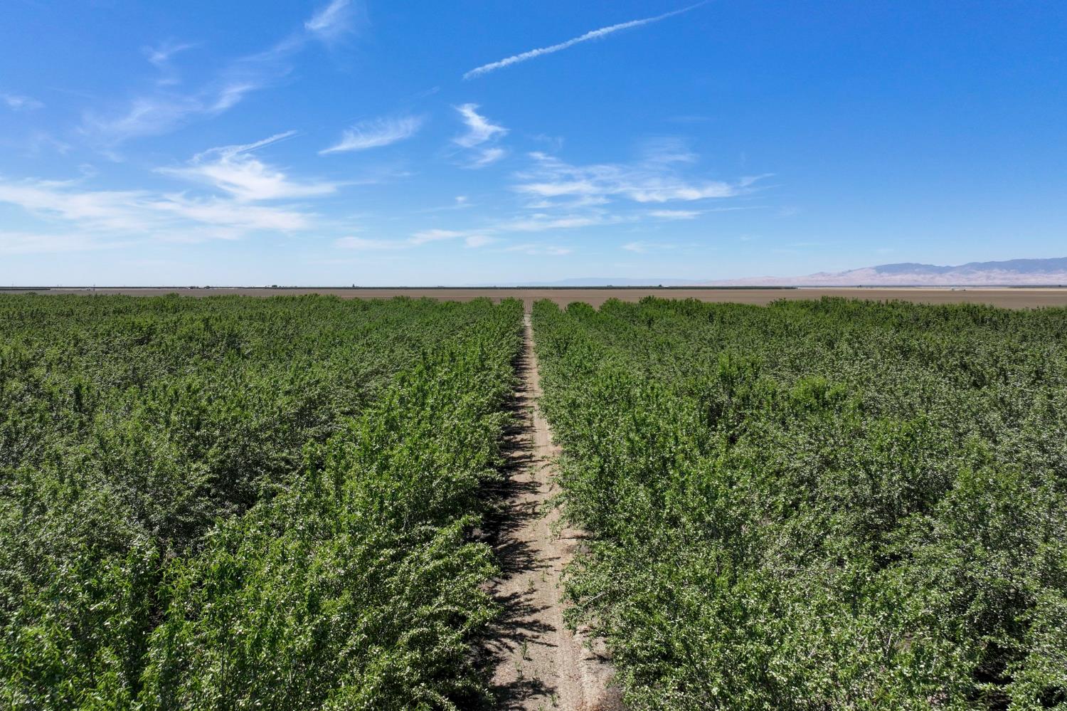 20375 W Manning Ave, San Joaquin, CA 93660