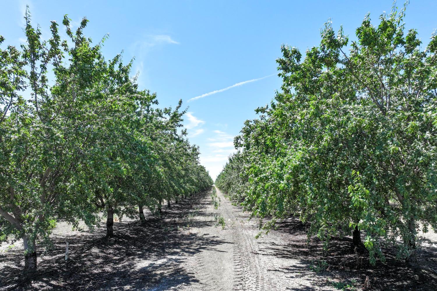 20375 W Manning Ave, San Joaquin, CA 93660