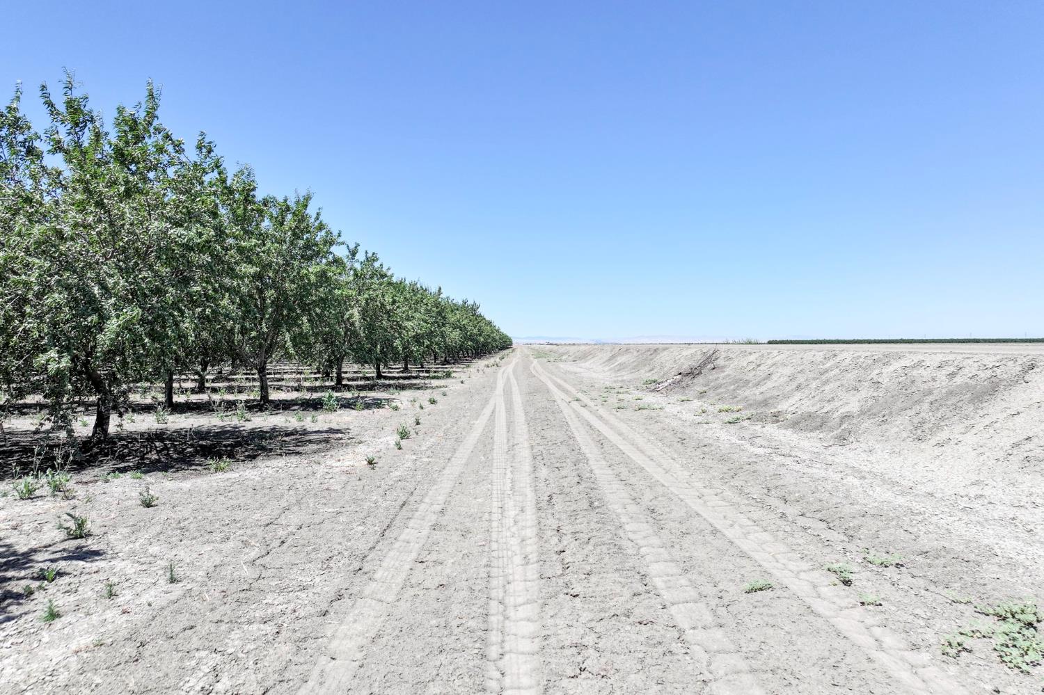 20375 W Manning Ave, San Joaquin, CA 93660