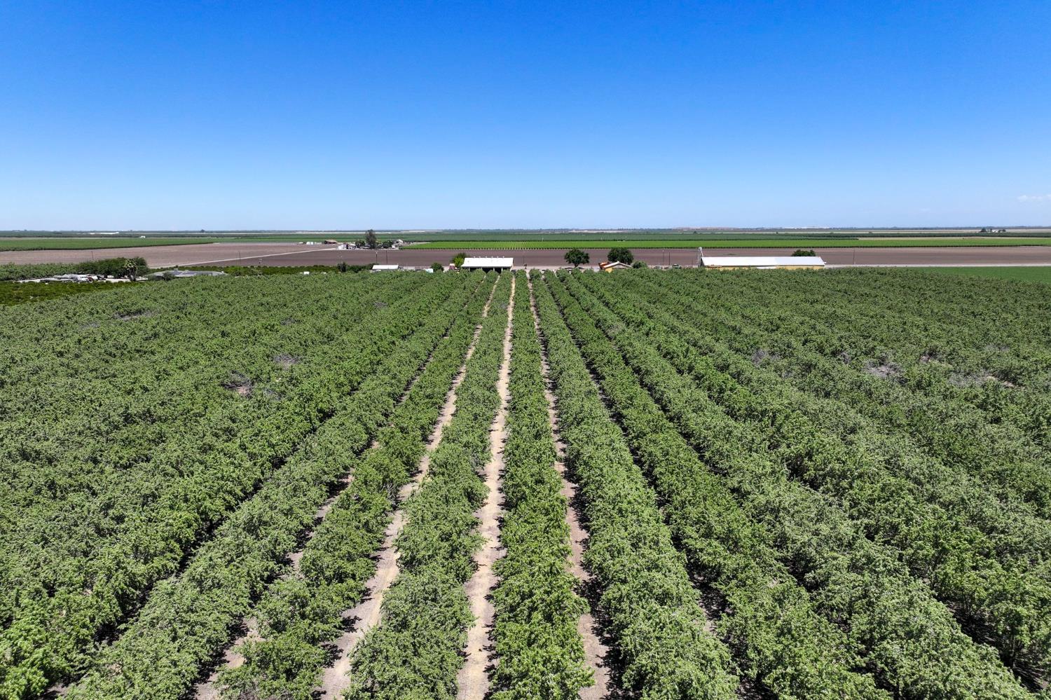 20375 W Manning Ave, San Joaquin, CA 93660