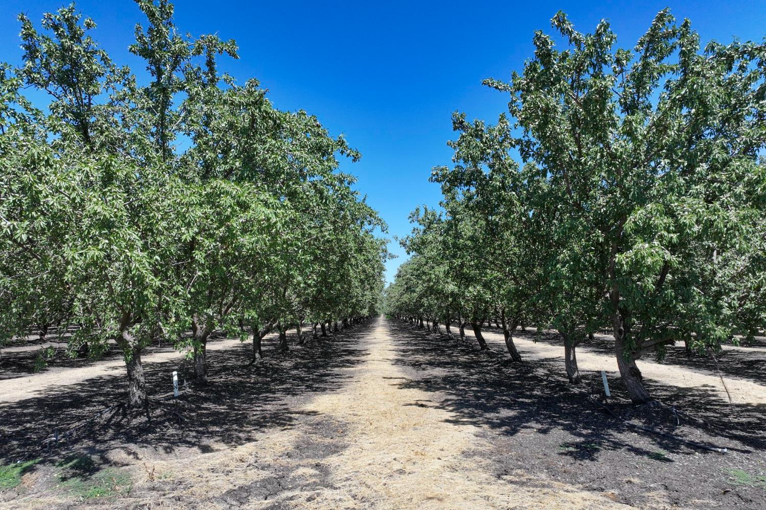 20375 W Manning Ave, San Joaquin, CA 93660