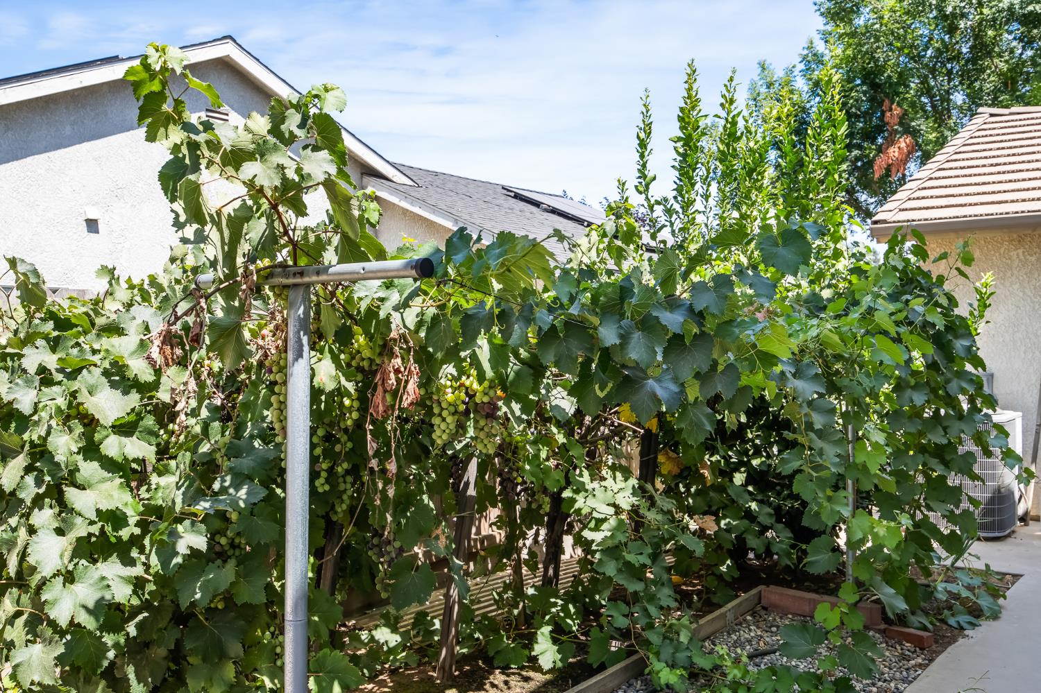2390 Silverbrooke St, Kingsburg, CA 93631