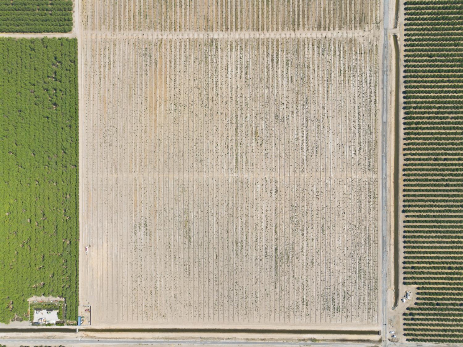 14125 Avenue 18 1/2, Chowchilla, CA 93610