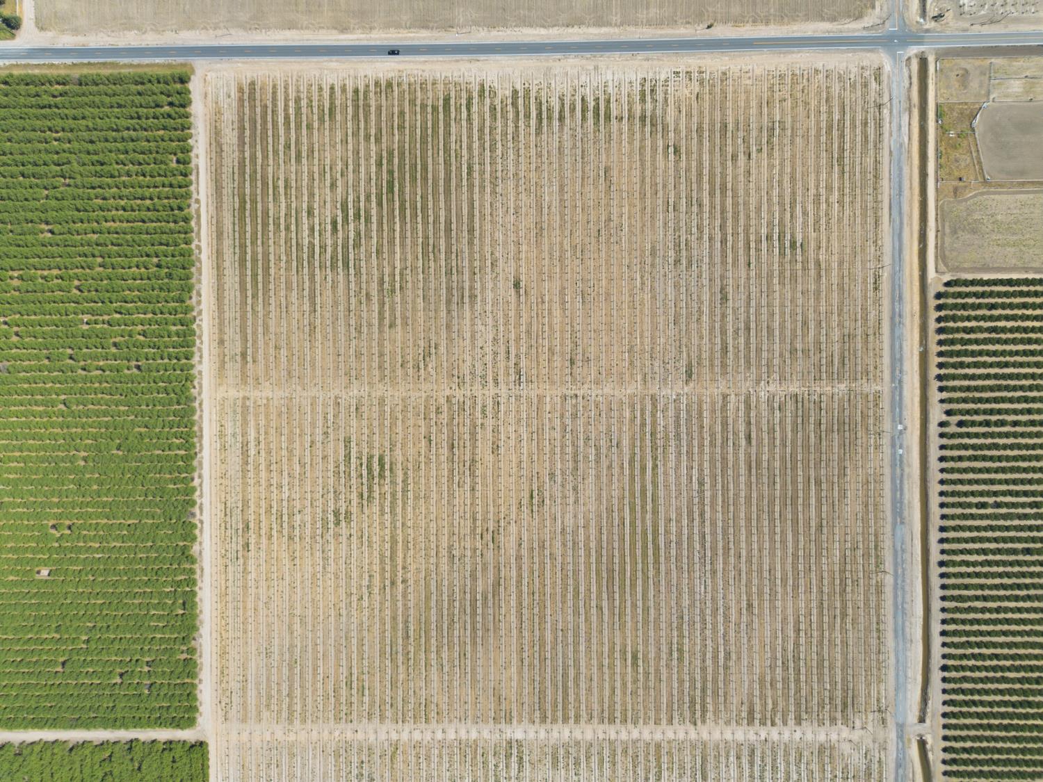 14125 Avenue 18 1/2, Chowchilla, CA 93610
