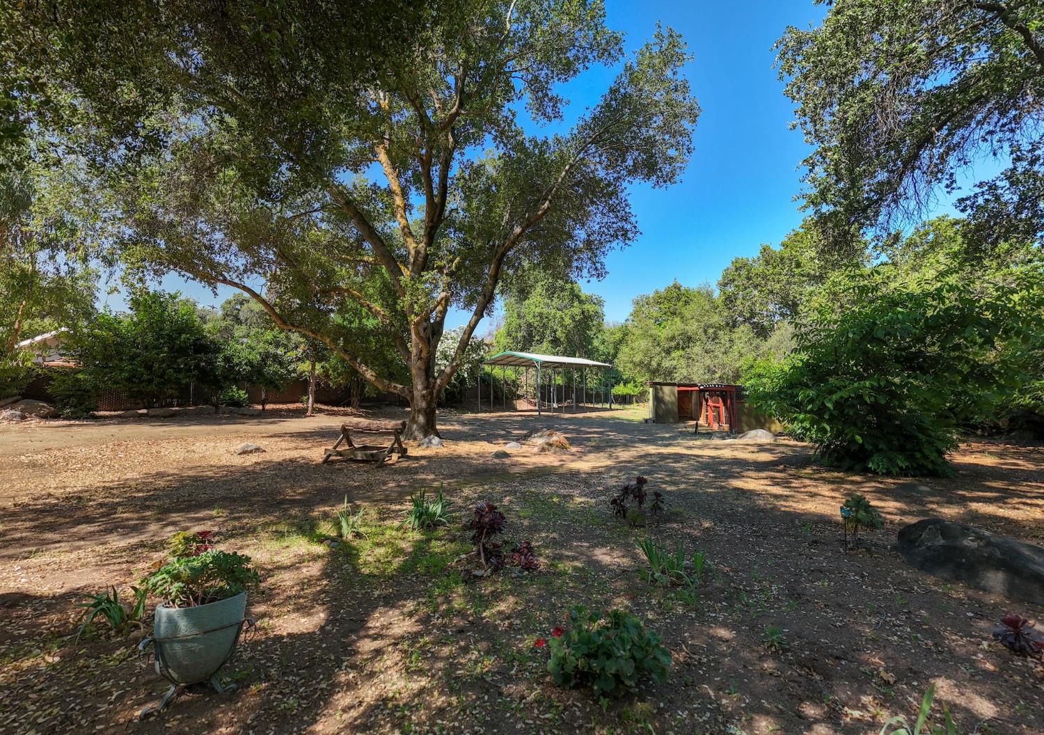 33720 Globe Dr, Springville, CA 93265