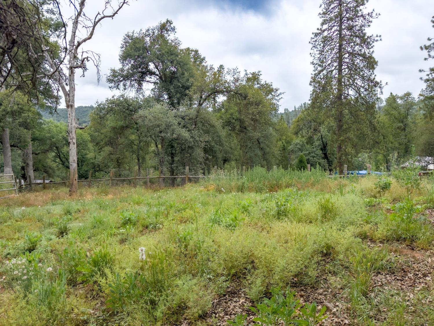 36686 Mattie Fhy Ct, Coarsegold, CA 93614