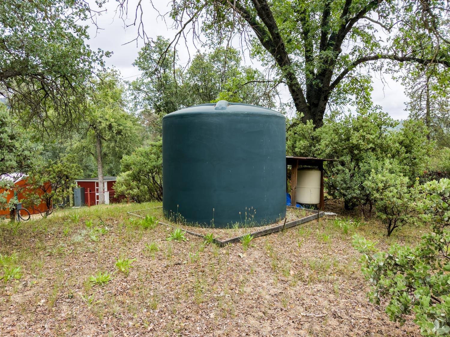 36686 Mattie Fhy Ct, Coarsegold, CA 93614