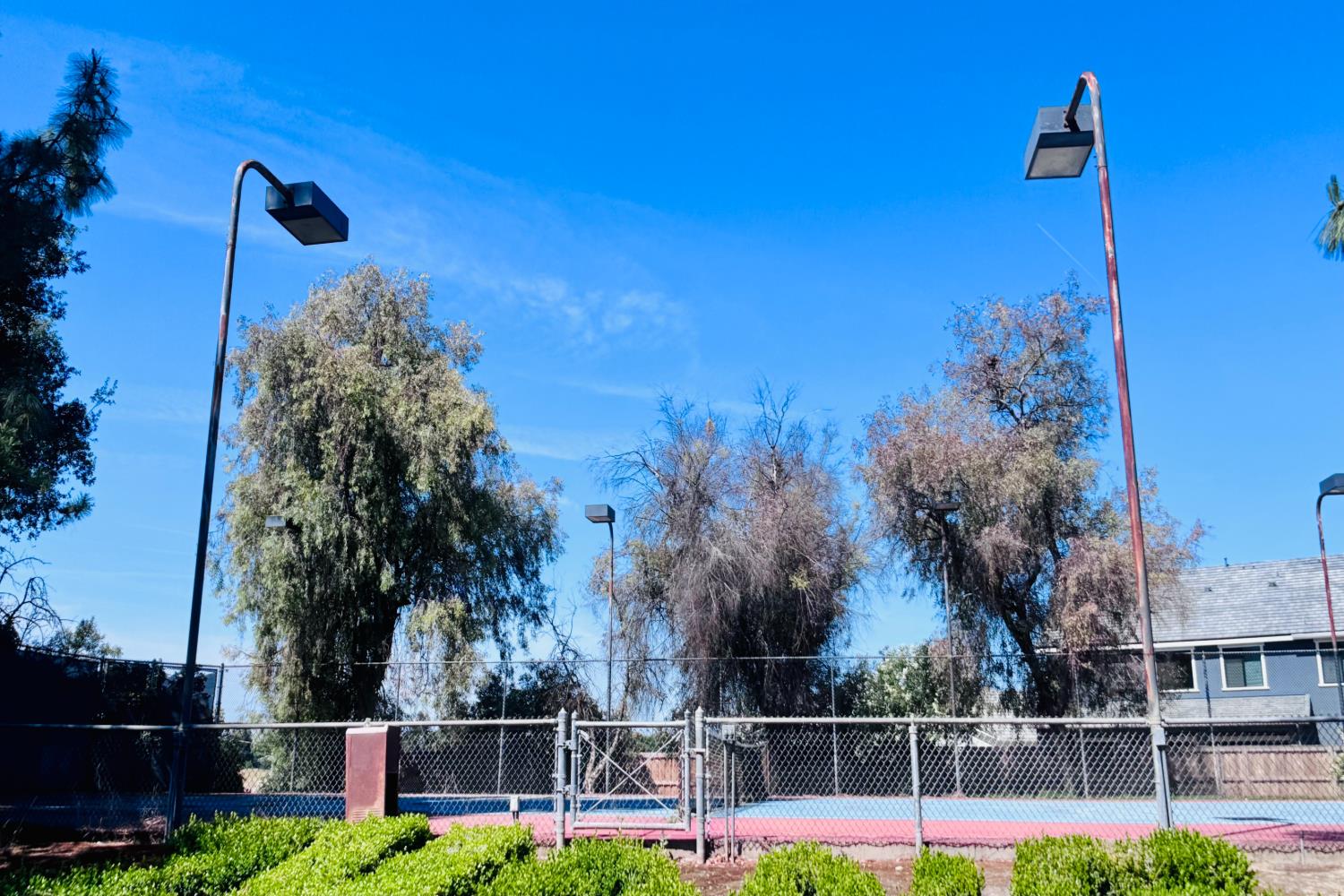 8155 N Fowler Ave, Clovis, CA 93619