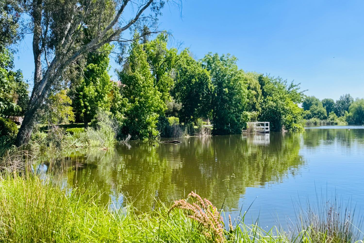 8155 N Fowler Ave, Clovis, CA 93619